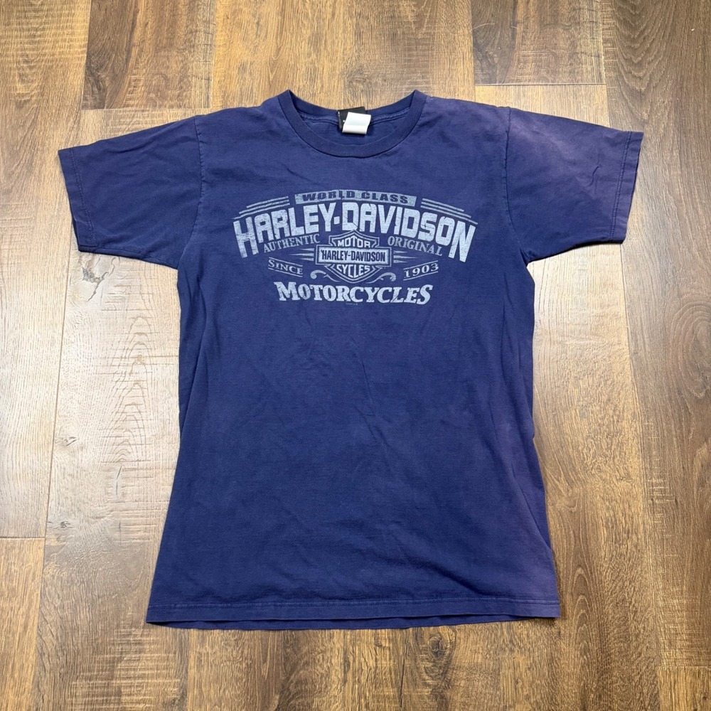 Harley Davidson T-Shirt Mens M Blue Good Skagit WA Eagle Graphic 2007 USA Made